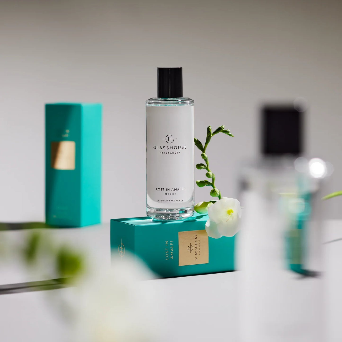 Glasshouse Fragrances | Interior Fragrances | All Scents