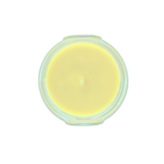 Tyler Candle Company | Limelight® Candle | All Sizes
