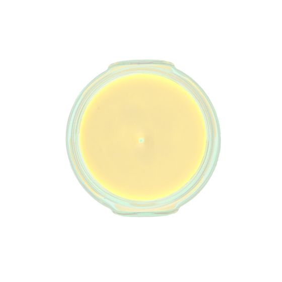 Tyler Candle Company | Pineapple Crush® Candle | All Sizes