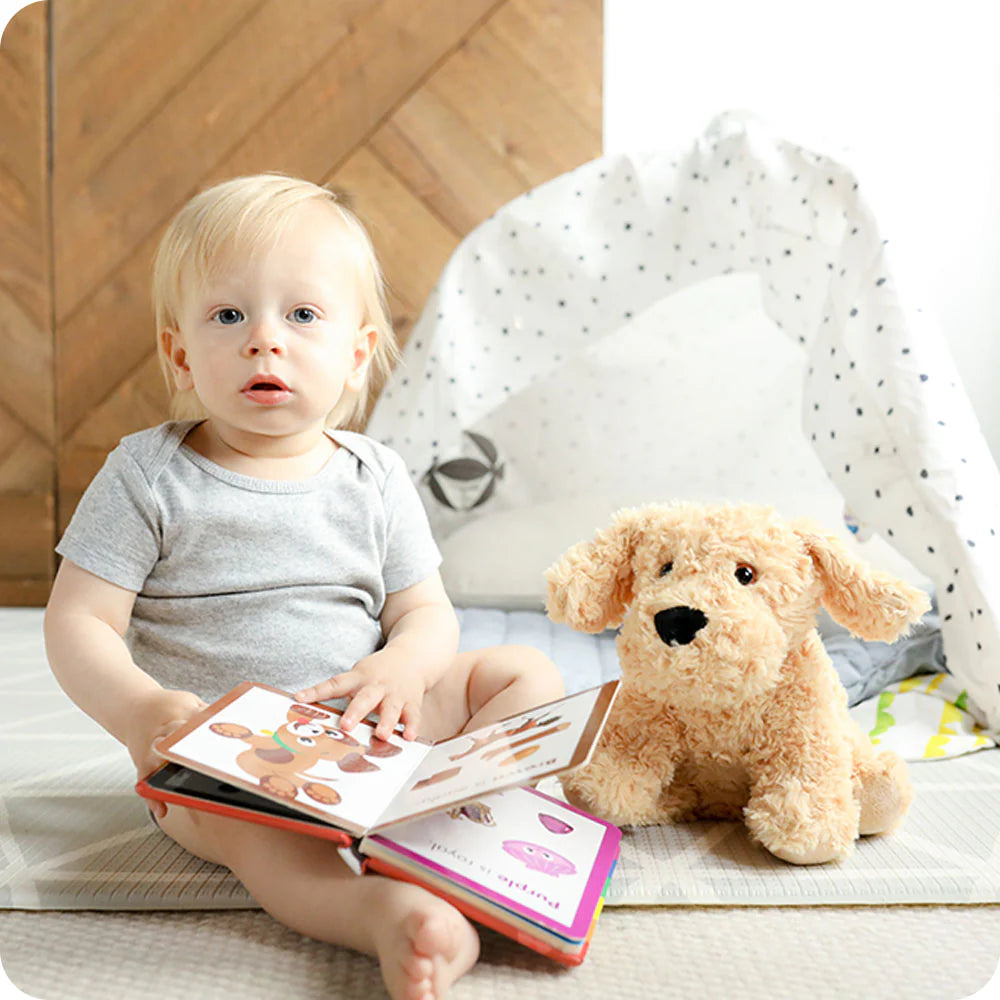 Warmies | Golden Dog