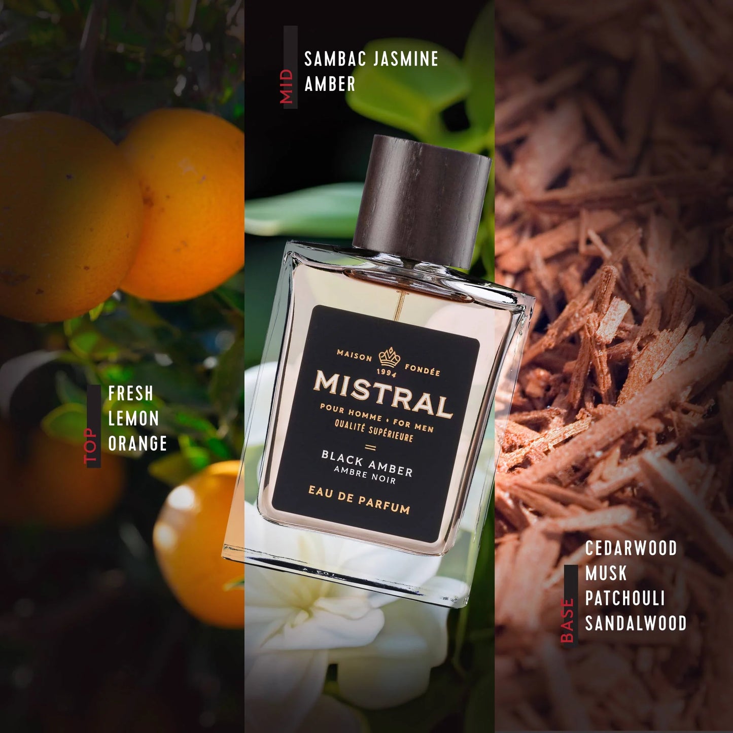 Mistral | Black Amber Eau de Parfum | 100mL
