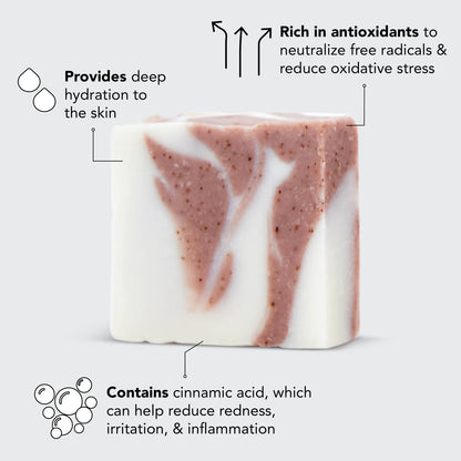 Kitsch | Shea Butter Exfoliating Body Wash | Bar