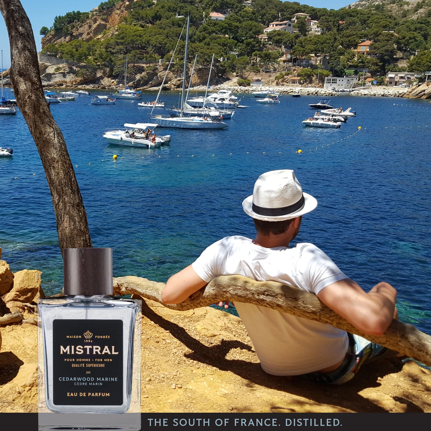 Mistral | Cedarwood Marine Eau de Parfum | 100mL