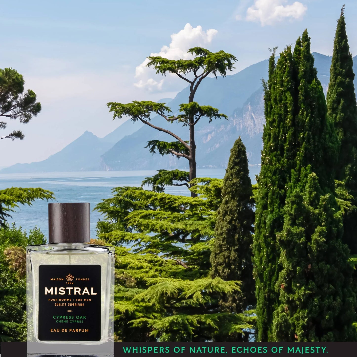 Mistral | Cypress Oak Eau de Parfum | 100mL