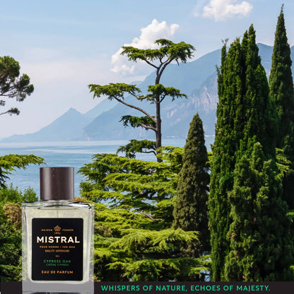 Mistral | Cypress Oak Eau de Parfum | 100mL